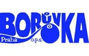 1141_boruvka-logo.jpg